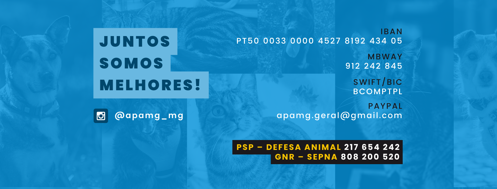 Apamg capa